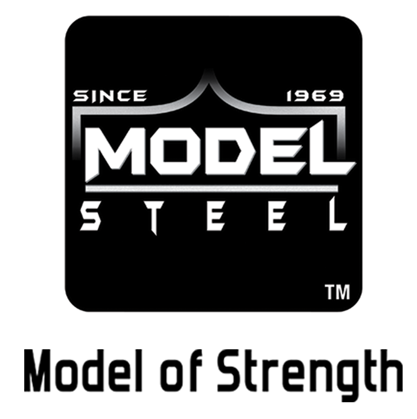 Model Steel